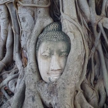 Wat Mahathat Ayutthaya, Thailand
